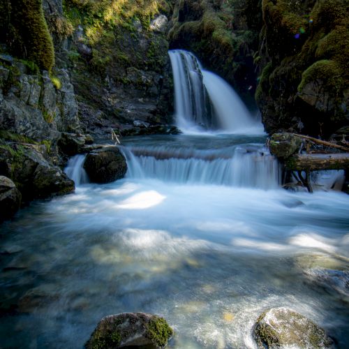 A serene waterfall cascades into a clear pool surrounded by rocks and lush greenery in a tranquil forest setting.