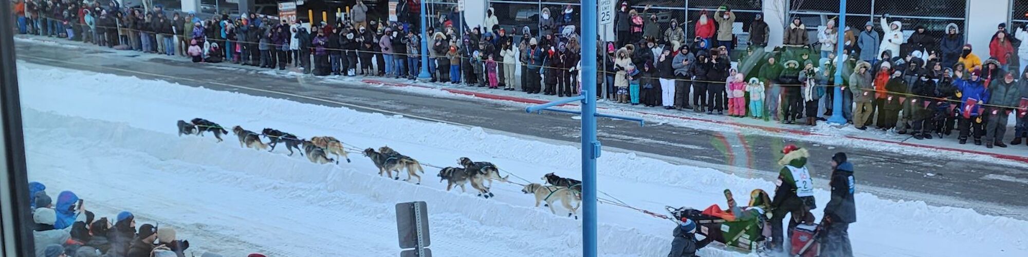 A dog sled race is happening on a snowy street lined with spectators, surrounded by buildings.